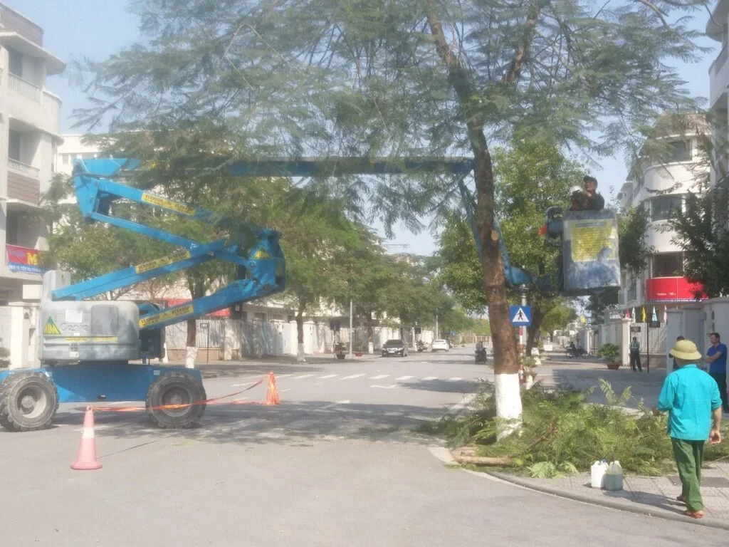 Xe nâng người cắt tỉa và vận chuyển tiểu cảnh sân vườn